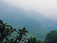 -广州市流溪河国家森林公园