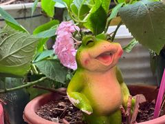 -鱼乐岛餐厅·户外花园主题餐厅