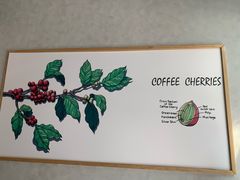 -瑞幸咖啡(南海万科广场店)