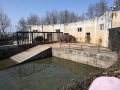 -合肥野生动物园