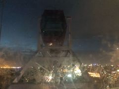 -锦江乐园舞狸花花游园会(夜场专享)