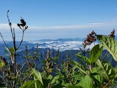-白草畔自然风景区