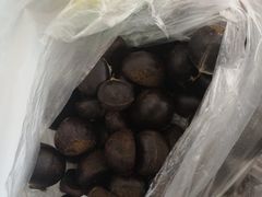 -杭州萧山国际机场