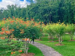-中国科学院西双版纳热带植物园