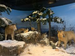 -陕西自然博物馆