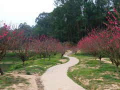 -广州莲花山旅游区
