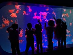 -全优加早教·托育(金沙御苑校区)