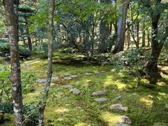 -西芳寺(苔寺)