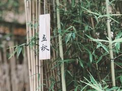-天水蔬食料理(树德之光店)