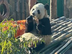 -大连森林动物园