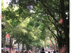 -黄龙溪古镇