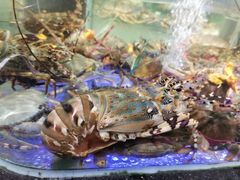 -盒马鲜生(悠方店)