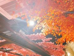 -八次方巴乡石锅鱼·金海湖水库活鱼(谷丰东路店)