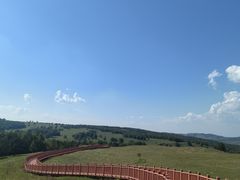 -塞罕坝国家级自然保护区