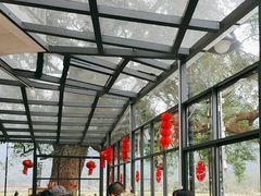 -遇龙河大樟树农家乐