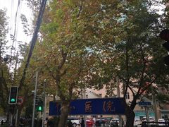 -复旦大学附属中山医院(西院区)