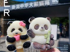 -卧龙中华大熊猫苑神树坪基地