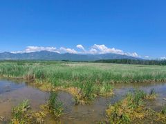 -野鸭湖国家湿地公园