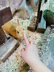 -Zoolung Zoolung动物主题公园(海信广场店)