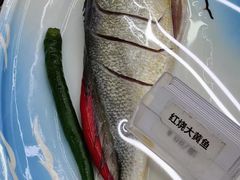 -大众海鲜(巨龙北路店)