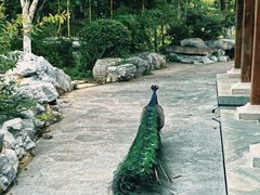 -武汉园博园(武汉自然博物馆)