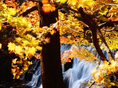 -丹东天桥沟景区