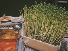 -海底捞火锅(奥森店)