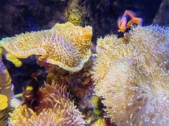 -太平洋海底世界