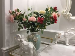 -蒙娜丽莎国际美容中心