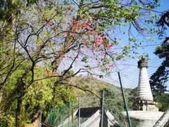 -潭柘寺景区
