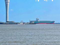 -上海吴淞炮台湾国家湿地公园