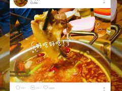 -四喜小胖·北京涮肉(五道营店)
