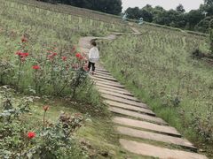 -保利石象湖景区