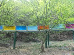 -十渡东湖港风景区