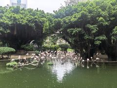 -九龙公园