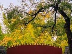 -北京国子监胡同