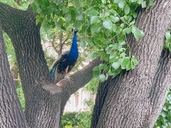 -J Create城市露营咖啡·简餐·宠物(上海动物园店)