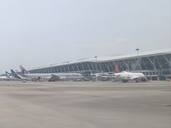-上海浦东国际机场-T2航站楼