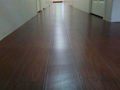 -佳雯宠物医院(四明中路分院)