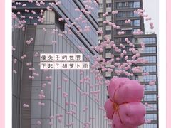 -金茂览秀城