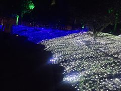 -秀丽东方