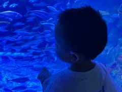 -太平洋海底世界