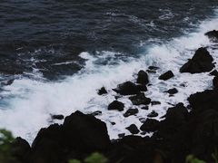 -涉地可支