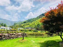 -溪口-滕头旅游景区