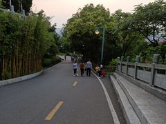 -神光山国家森林公园