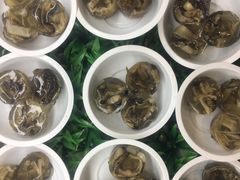 土笋冻-周正水煮活鱼·吊水鱼(万科店)