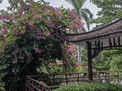 -晓港公园