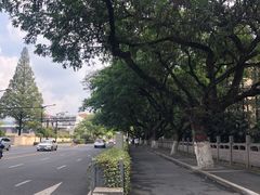 -紫峰大厦