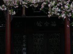 -棠湖公园