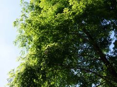 -同里国家湿地公园